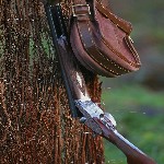 Section Chasse du CSLG Picardie – licence FCD et assurance chasseur Amiens